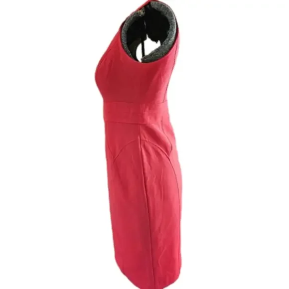 Black Label by Evan-Picone Reddish Pink Shift Sleeveless Dress-Size 6 - Picture 5 of 8